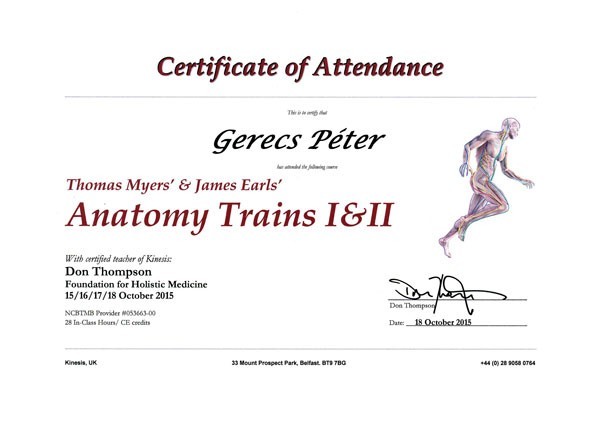 anatomy_trains_gerecs_peter
